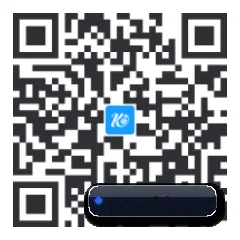 系统版 iOS 二维码